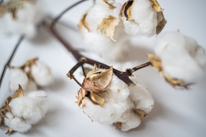 Organic cotton: better for our precious earth, and your precious babe